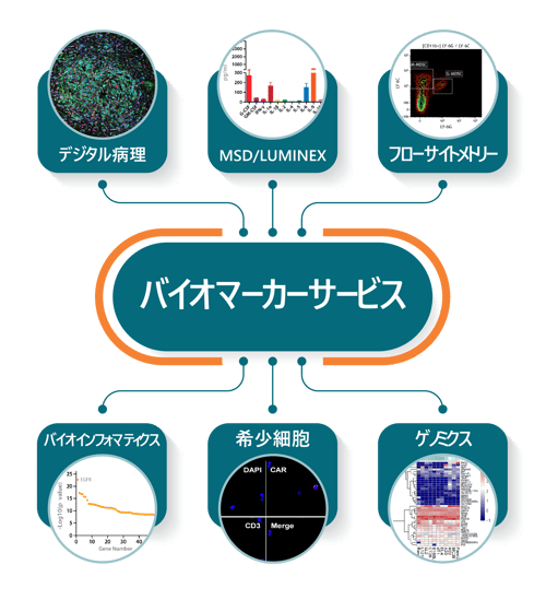 Biomarker Services_JP-01