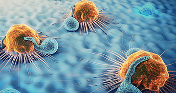 3D細胞培養プラットフォーム を介したin vitro/ex vivoがん 薬理学分析